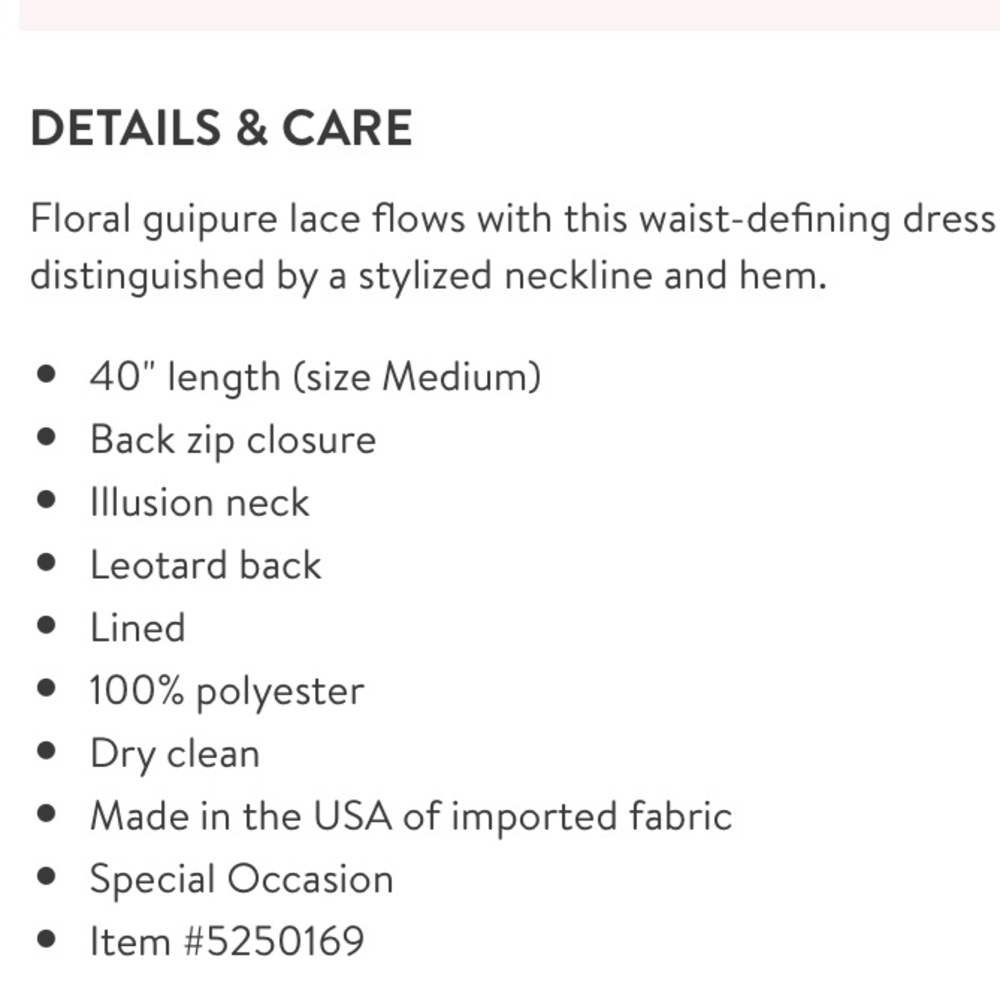 French Lace Fit & Flare Mini Dress - Picture 3 of 3